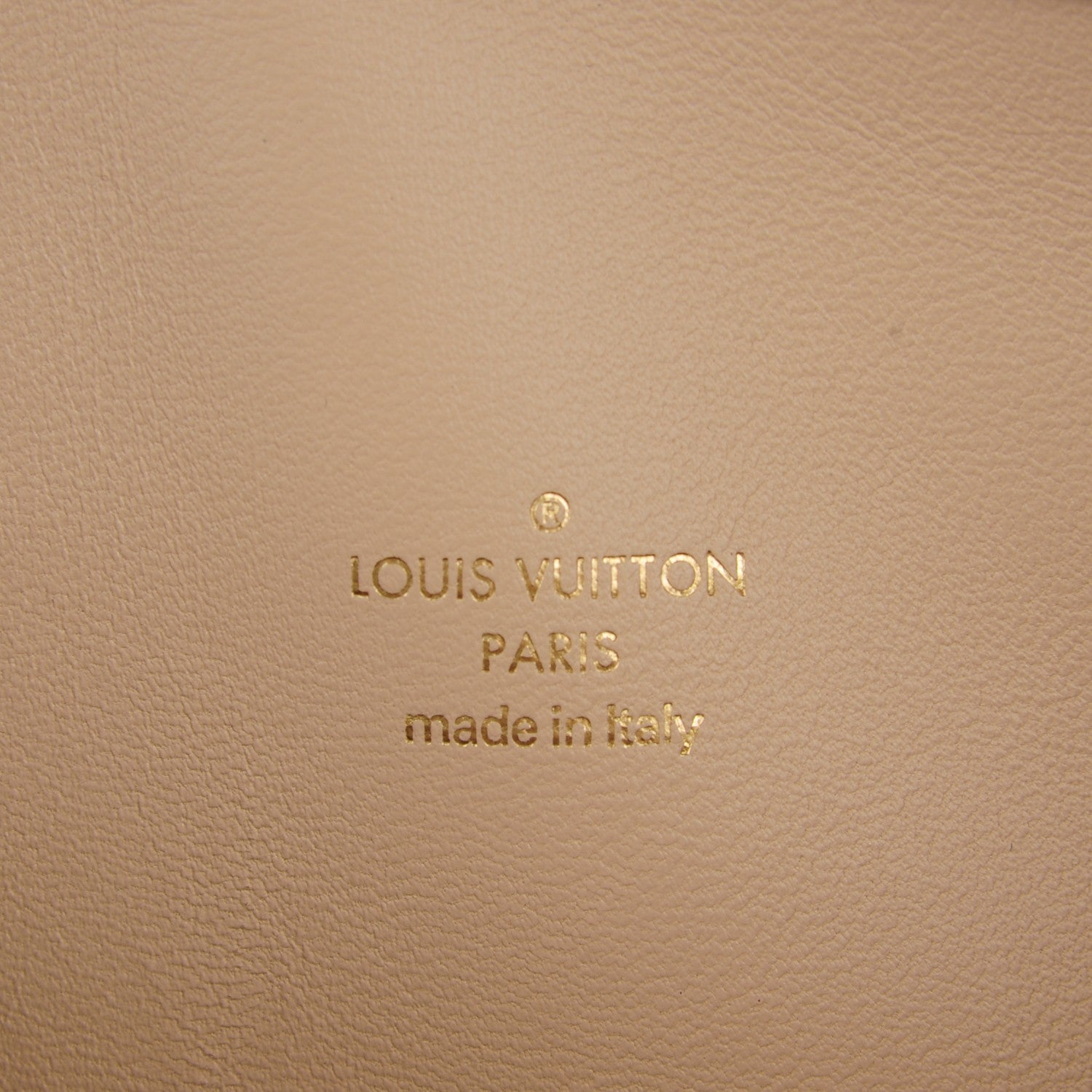 Louis Vuitton Monogram Speedy Amazon PM White Chocolat 5 of 6