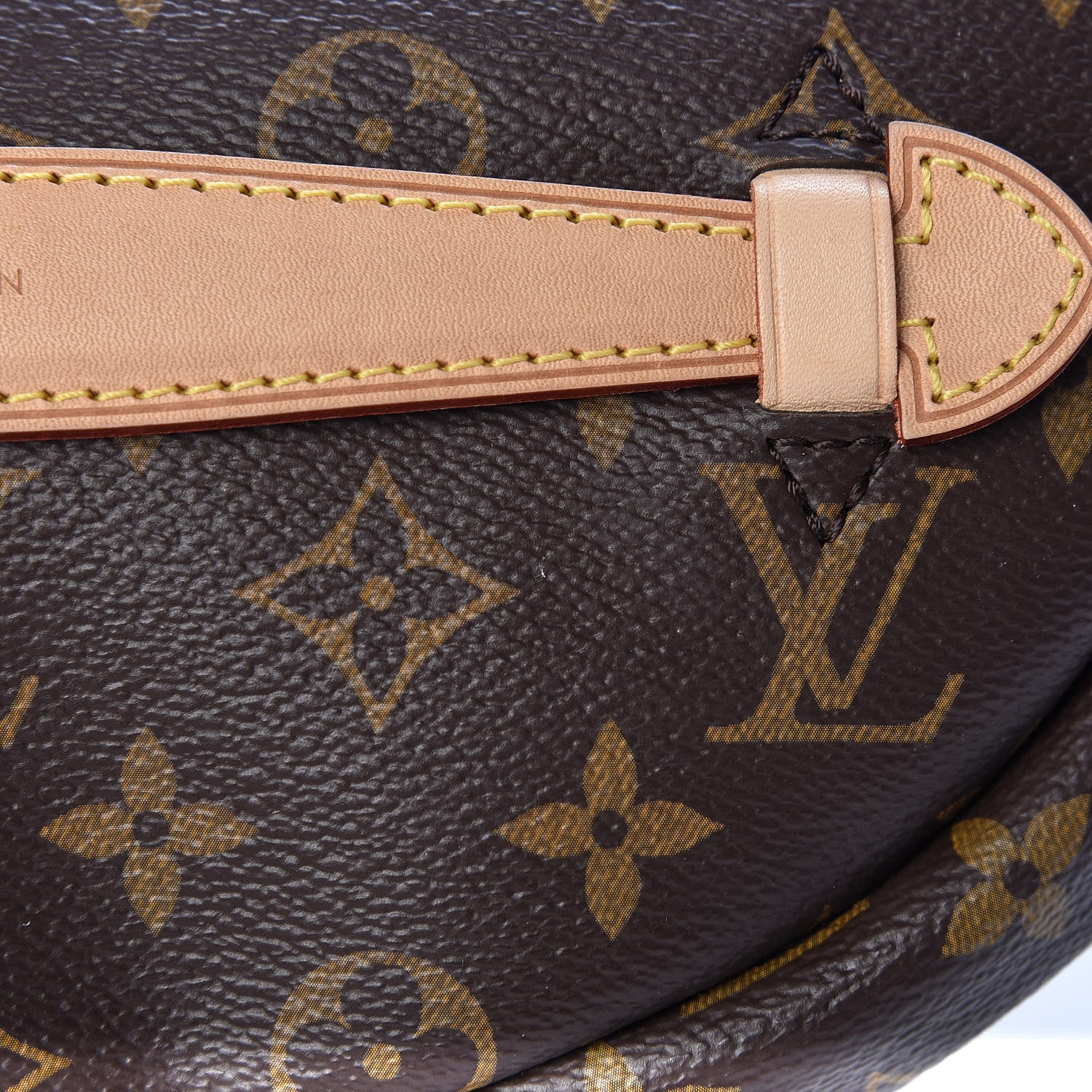 Louis Vuitton Monogram Bumbag 12 of 12