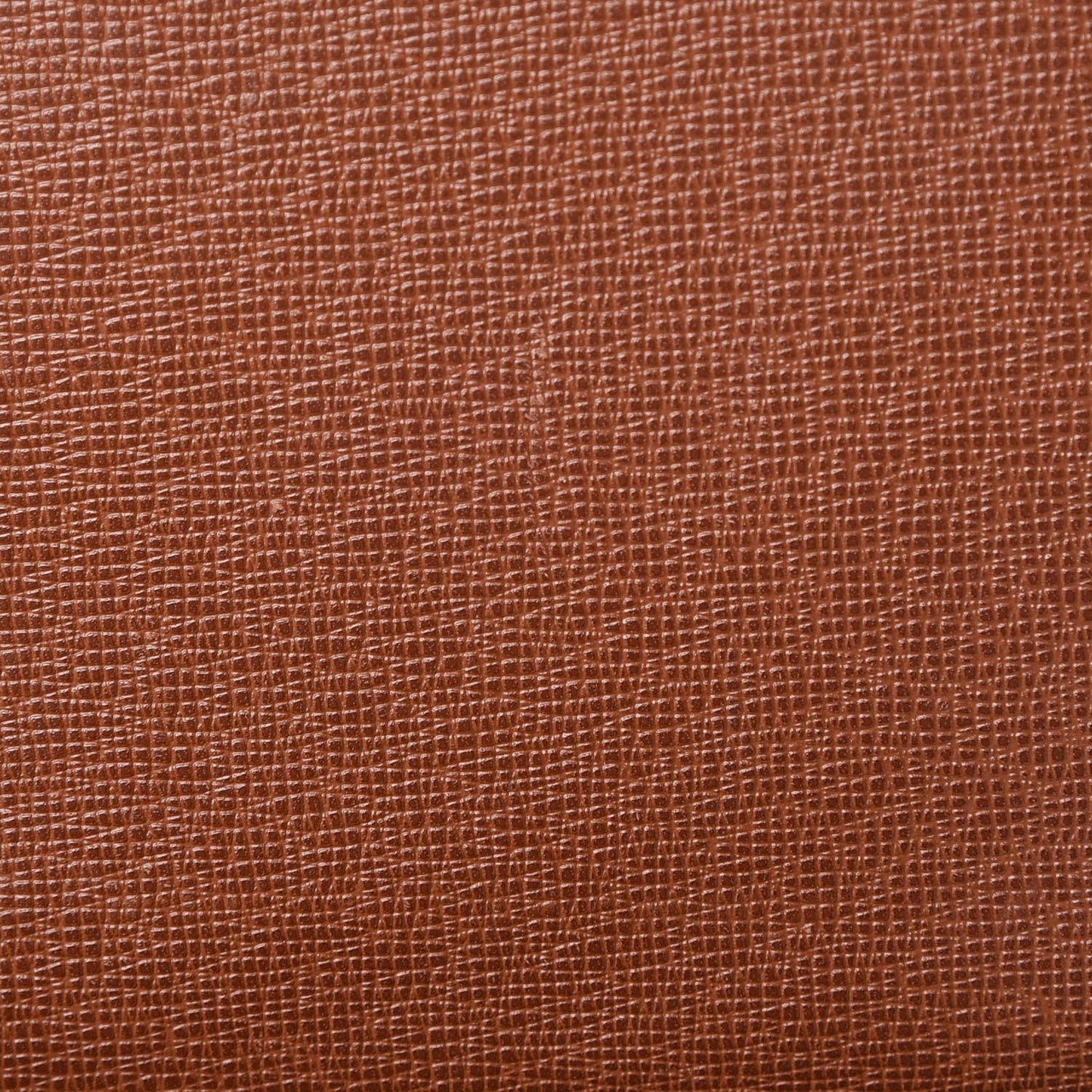 Monogram Saint Cloud PM