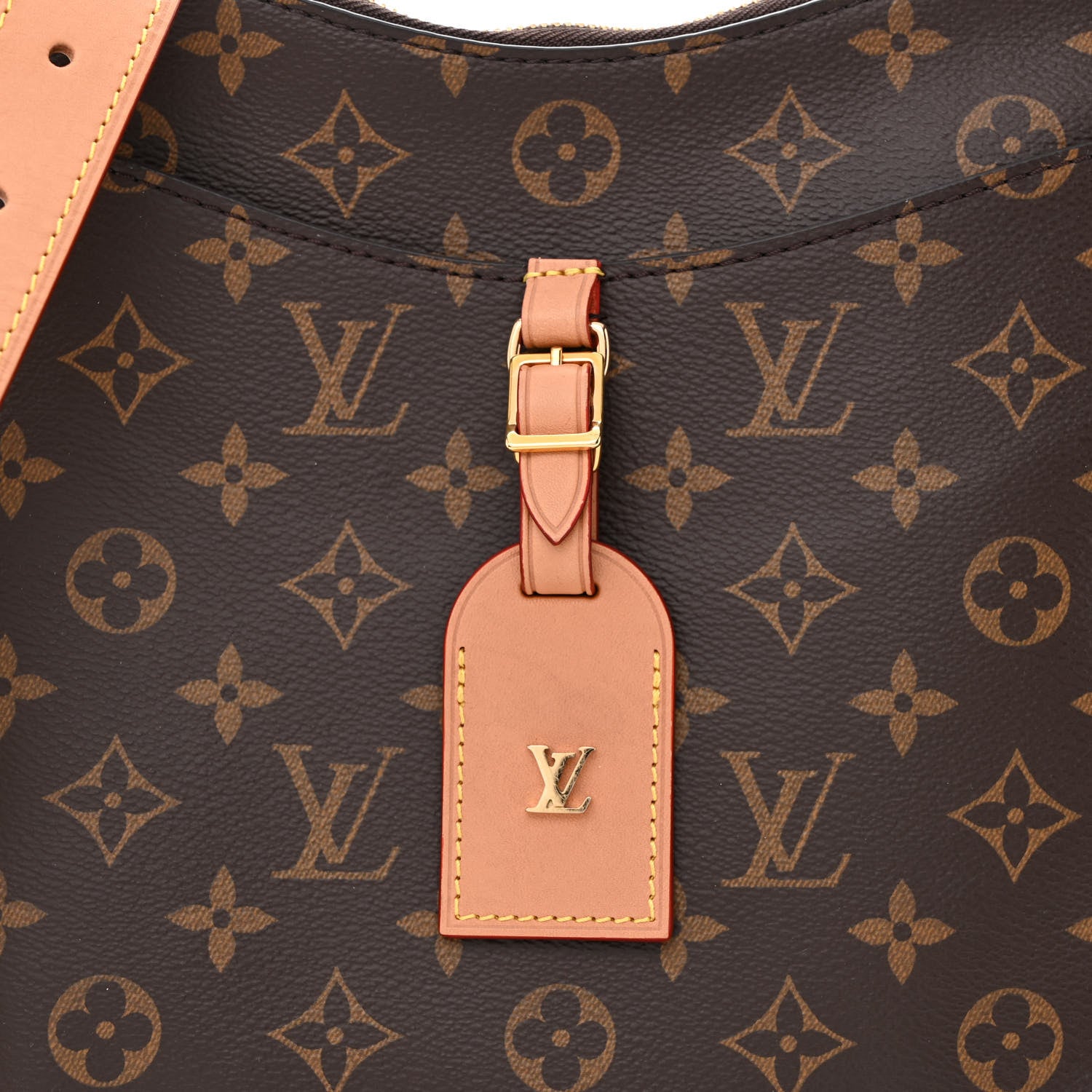 Louis Vuitton Monogram Odeon MM Natural 8 of 10