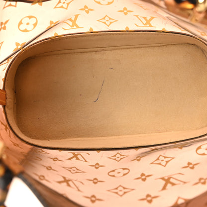 Louis Vuitton Vinyl Cabas Ambre PM 6 of 11