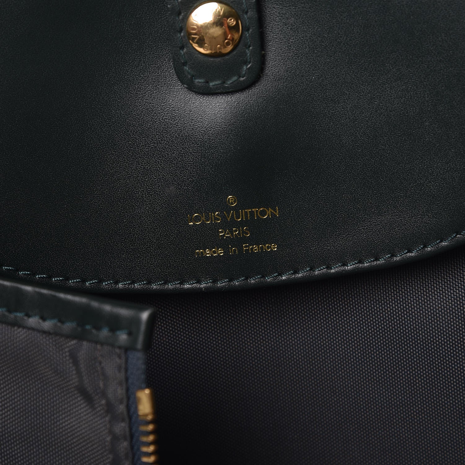 Louis Vuitton Taiga Housse Bering Garment Cover Epicea 6 of 7