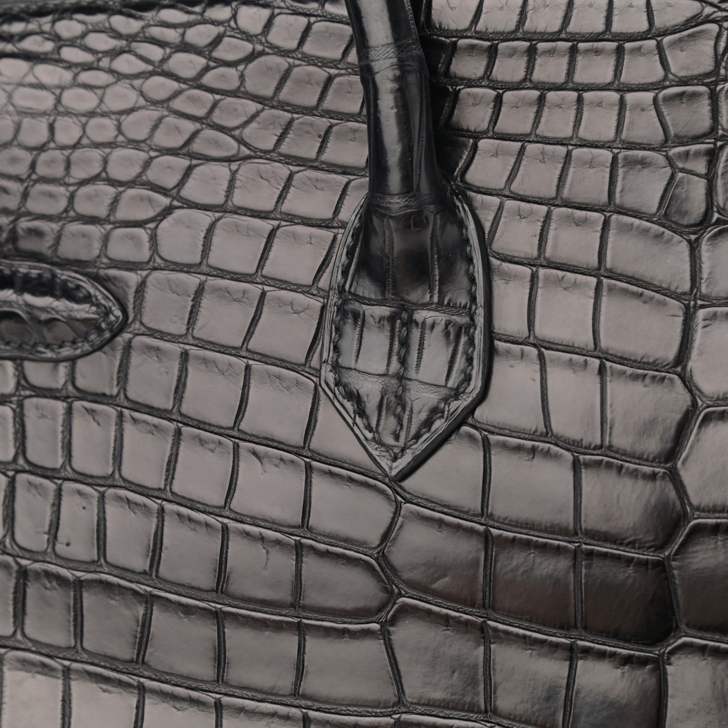 Matte Porosus Crocodile Birkin 35 Black