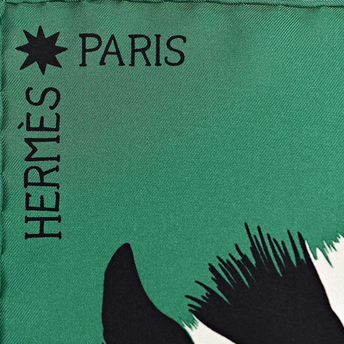Silk Zebra Pegasus Scarf 90 Emeraude Fuchsia Vert