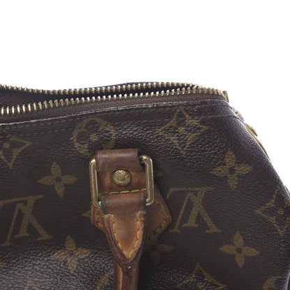 Louis Vuitton Monogram Speedy 25 12 of 26