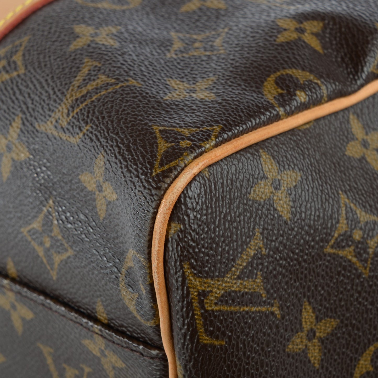 Monogram Carryall