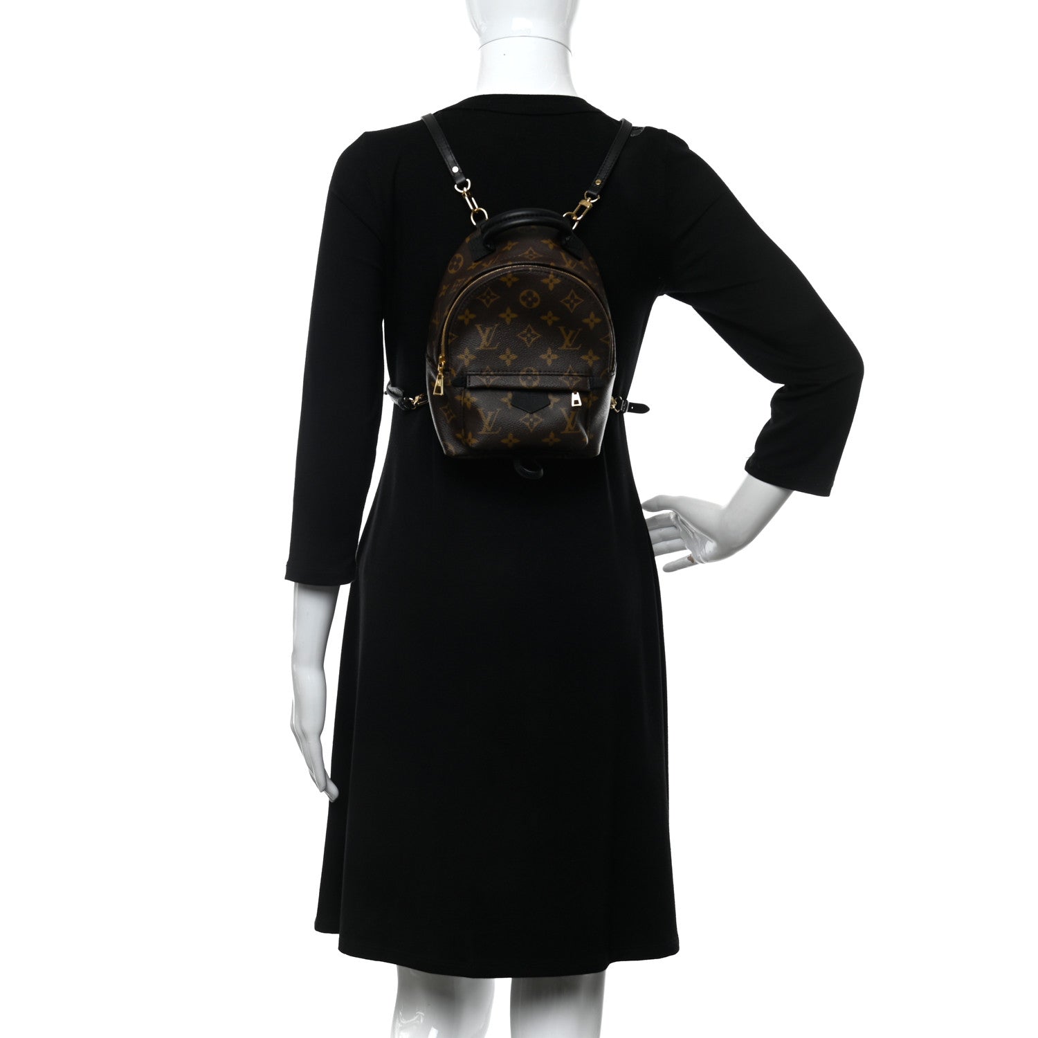 Louis Vuitton Monogram Palm Springs Backpack Mini 2 of 12