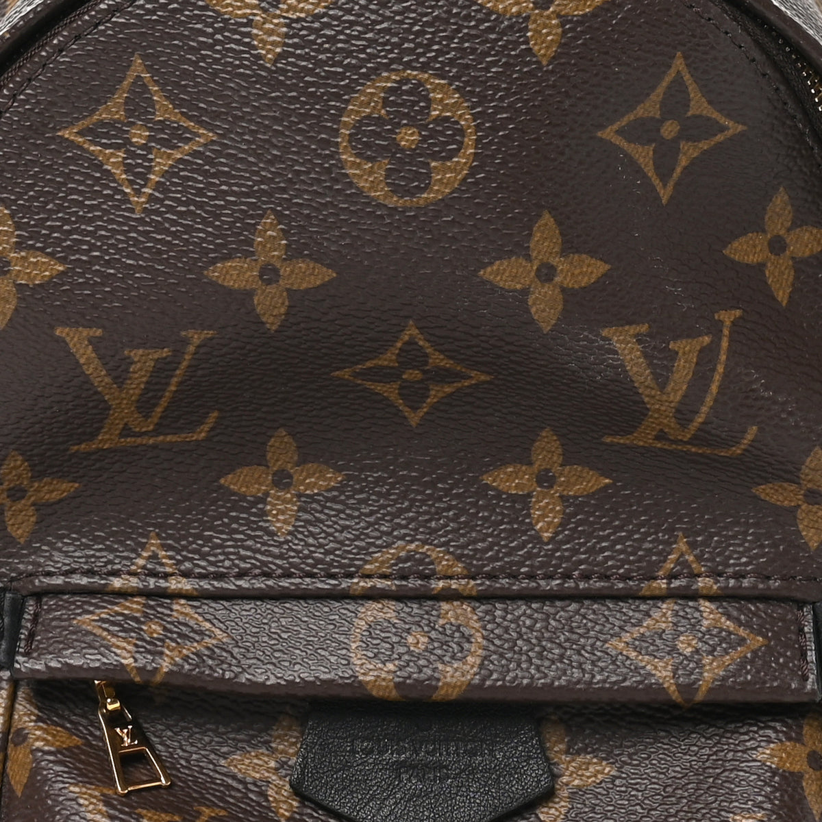 Louis Vuitton Monogram Palm Springs Backpack Mini 7 of 10