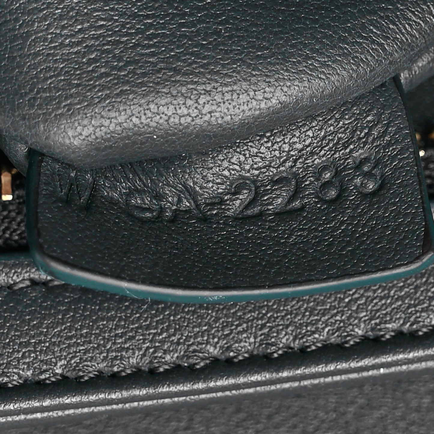 Shiny Calfskin Teen Triomphe Amazone