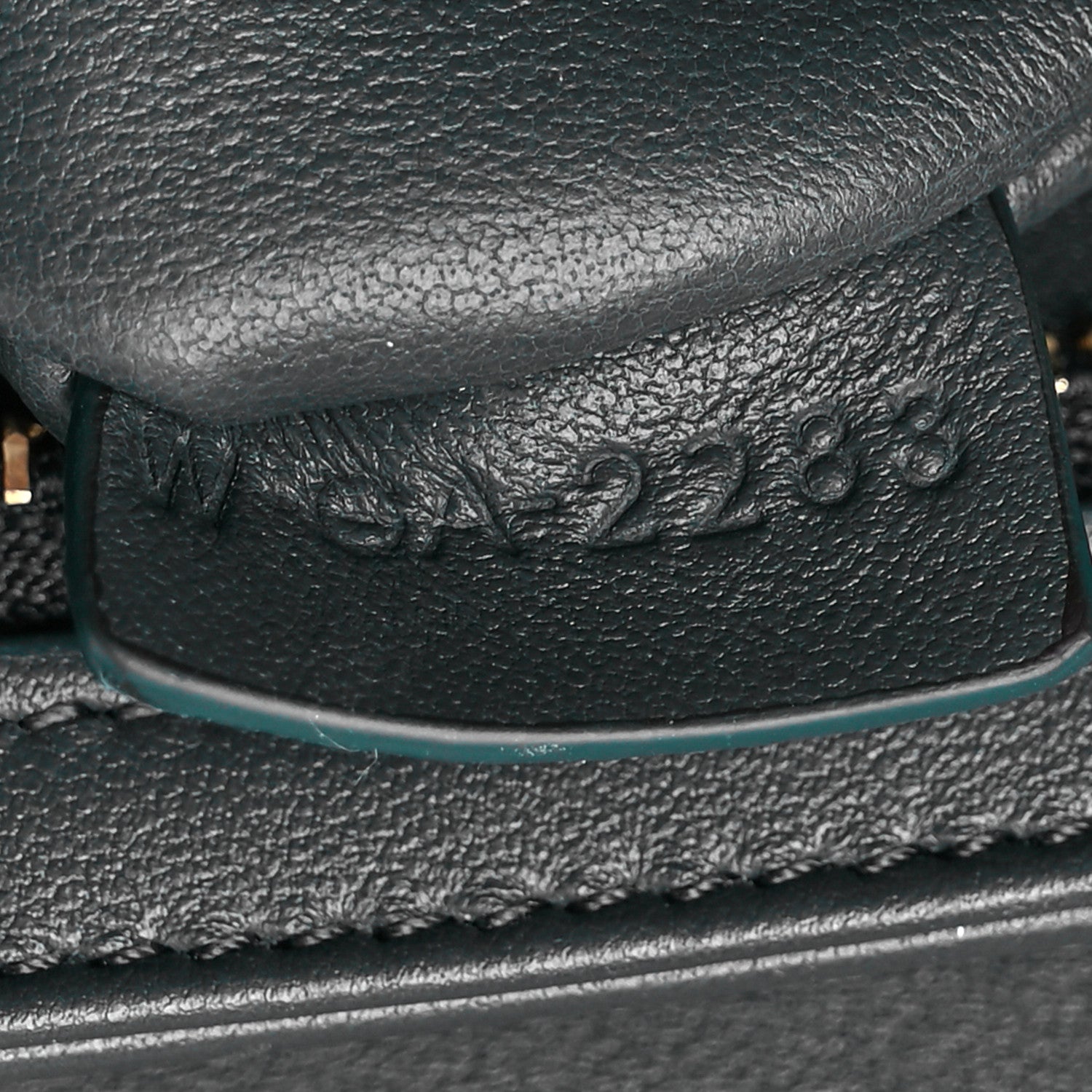 Celine Shiny Calfskin Teen Triomphe Amazone 7 of 10