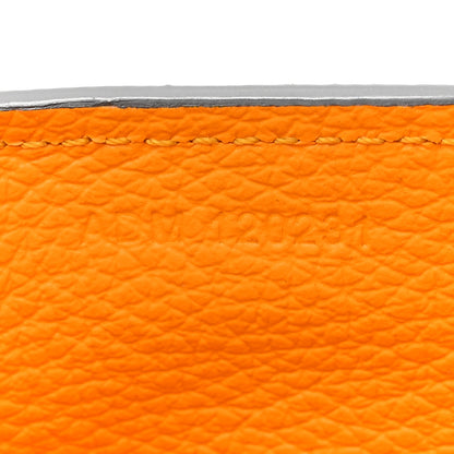 Goyard Goyardine Mini Saigon Grey 7 of 11