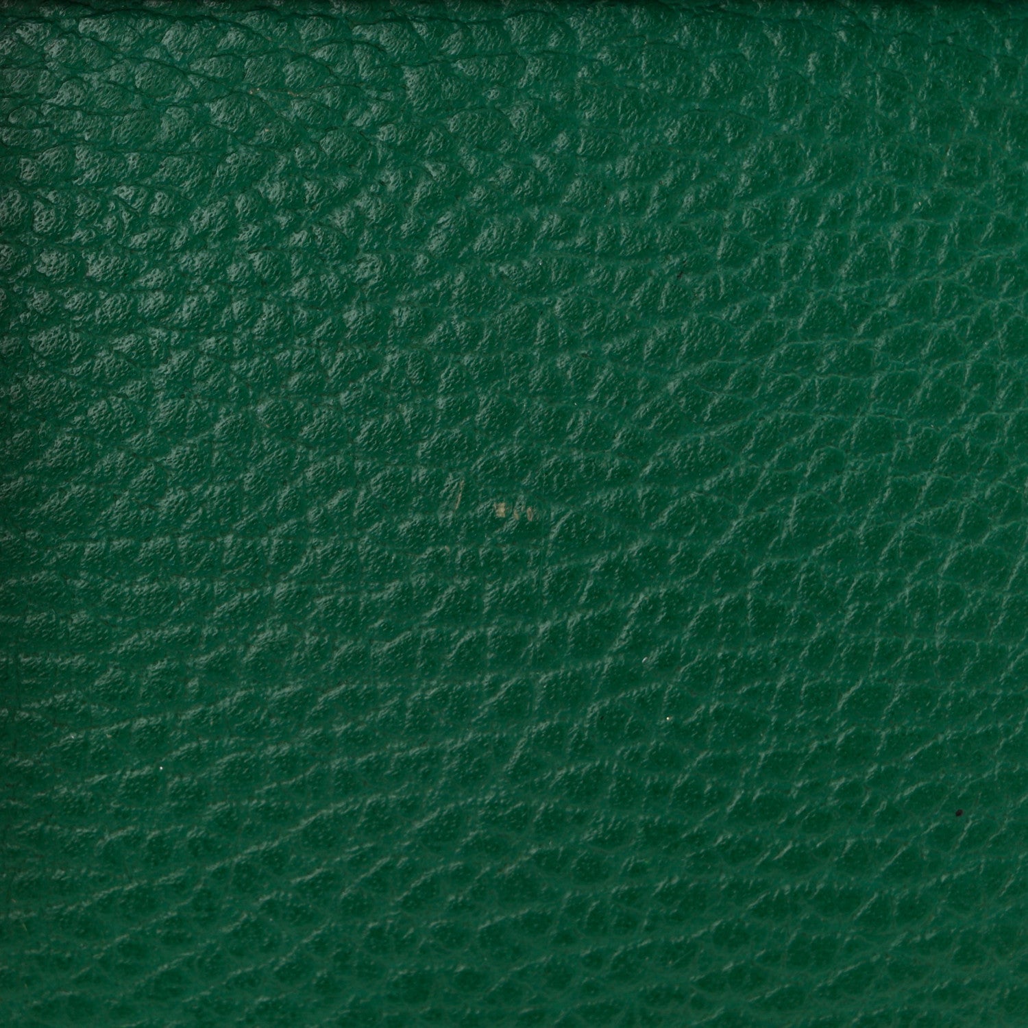 Gucci Pebbled Calfskin Small Dionysus Shoulder Bag Emerald 11 of 13