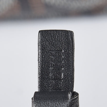 Goyard Goyardine Saint Louis GM Black 10 of 15
