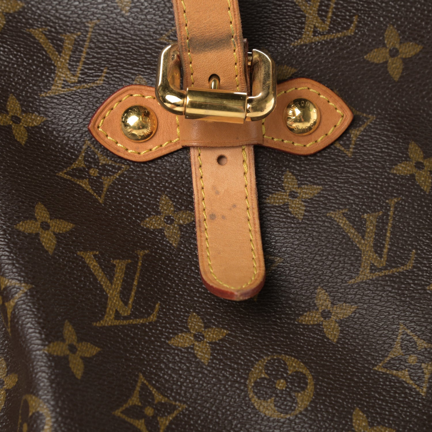 Louis Vuitton Monogram Palermo GM 21 of 21