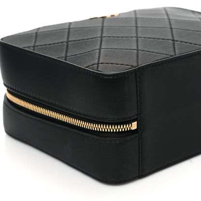 Chanel Calfskin Quilted Travel Kit Vanity Case Black 9 of 12
