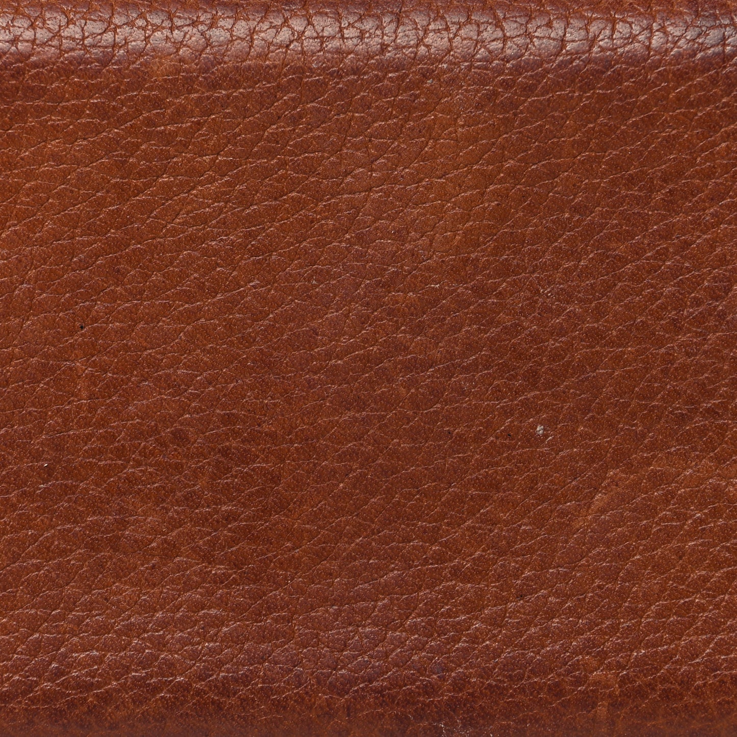 Barenia Verso Calvi Card Case Fauve Orange Poppy