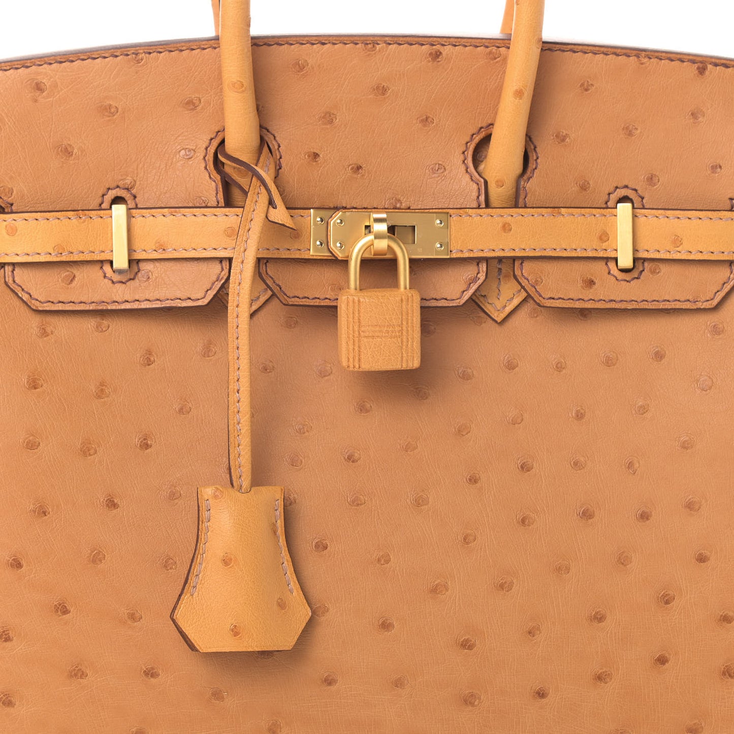 Ostrich Horseshoe Birkin 25 Saffron