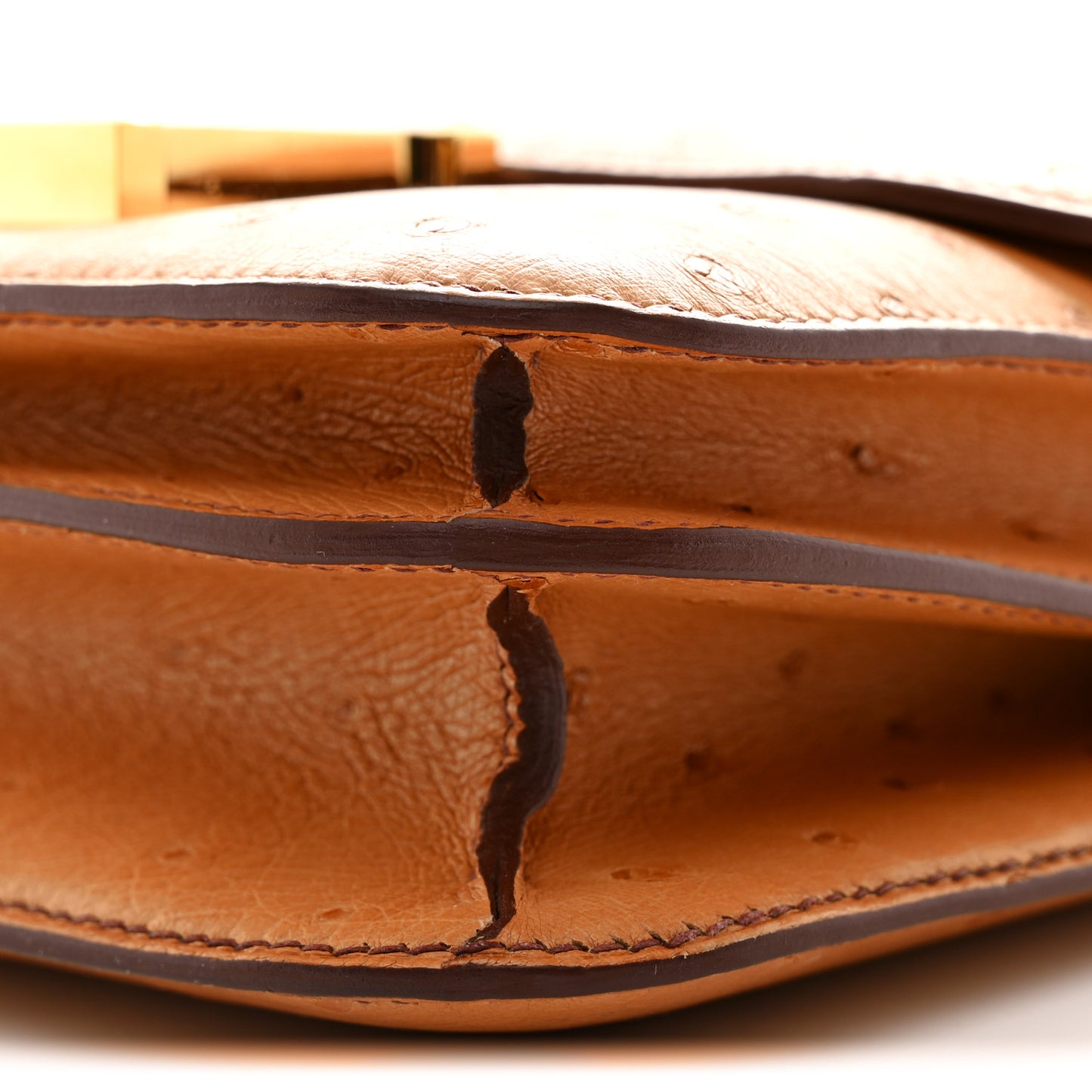 Ostrich Constance 18 Safran