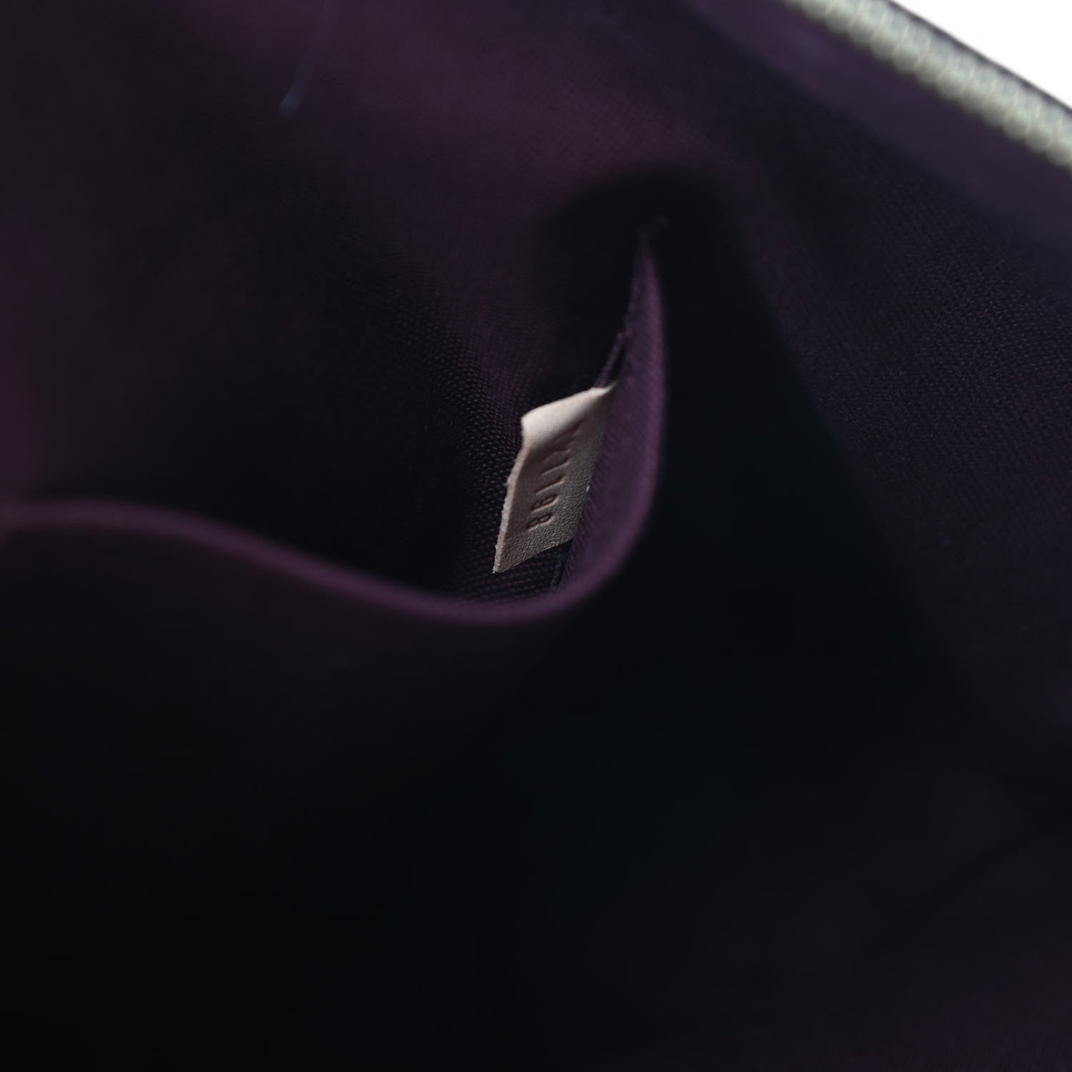 Louis Vuitton Monogram Iena MM 8 of 16