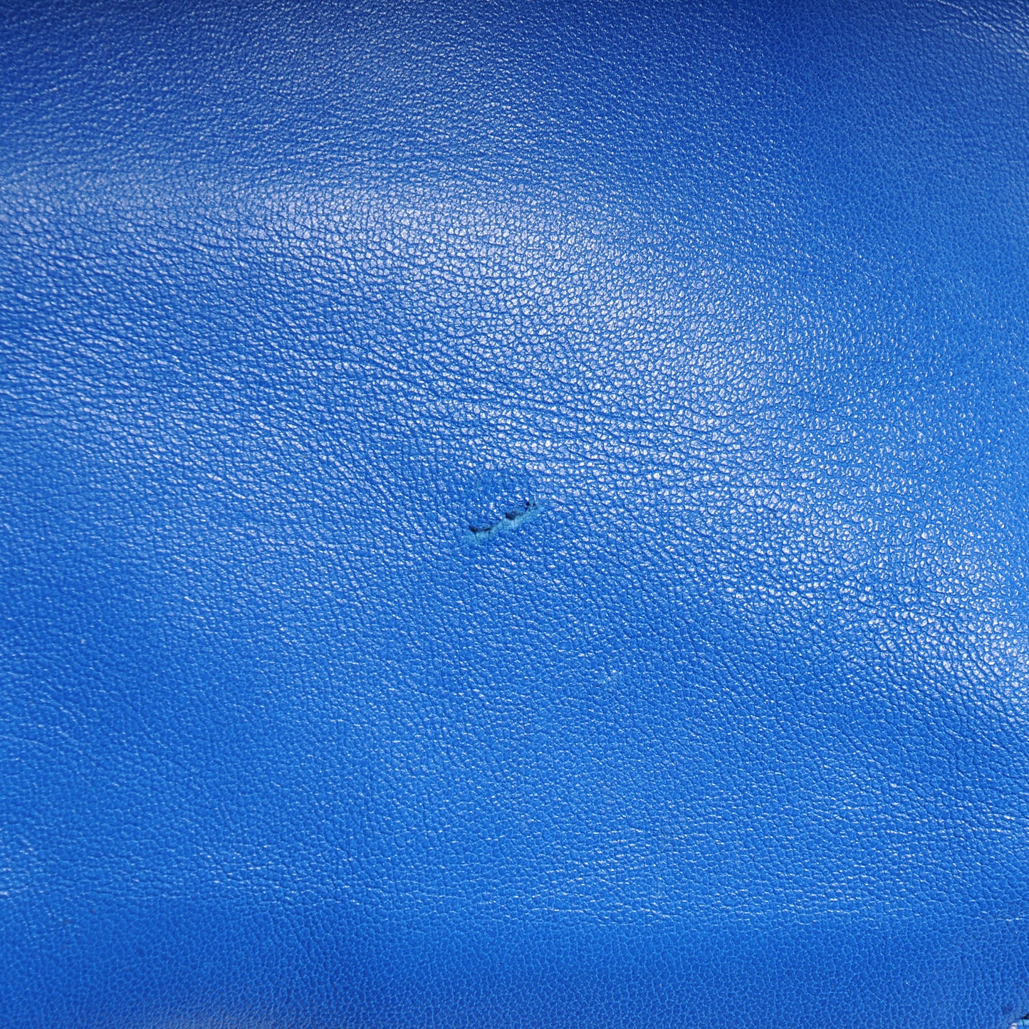 Lambskin Vertical Bi-Cabas Blue White