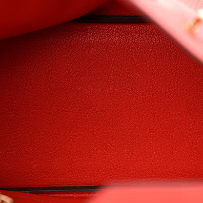 Hermes Togo Birkin 25 Capucine 5 of 10