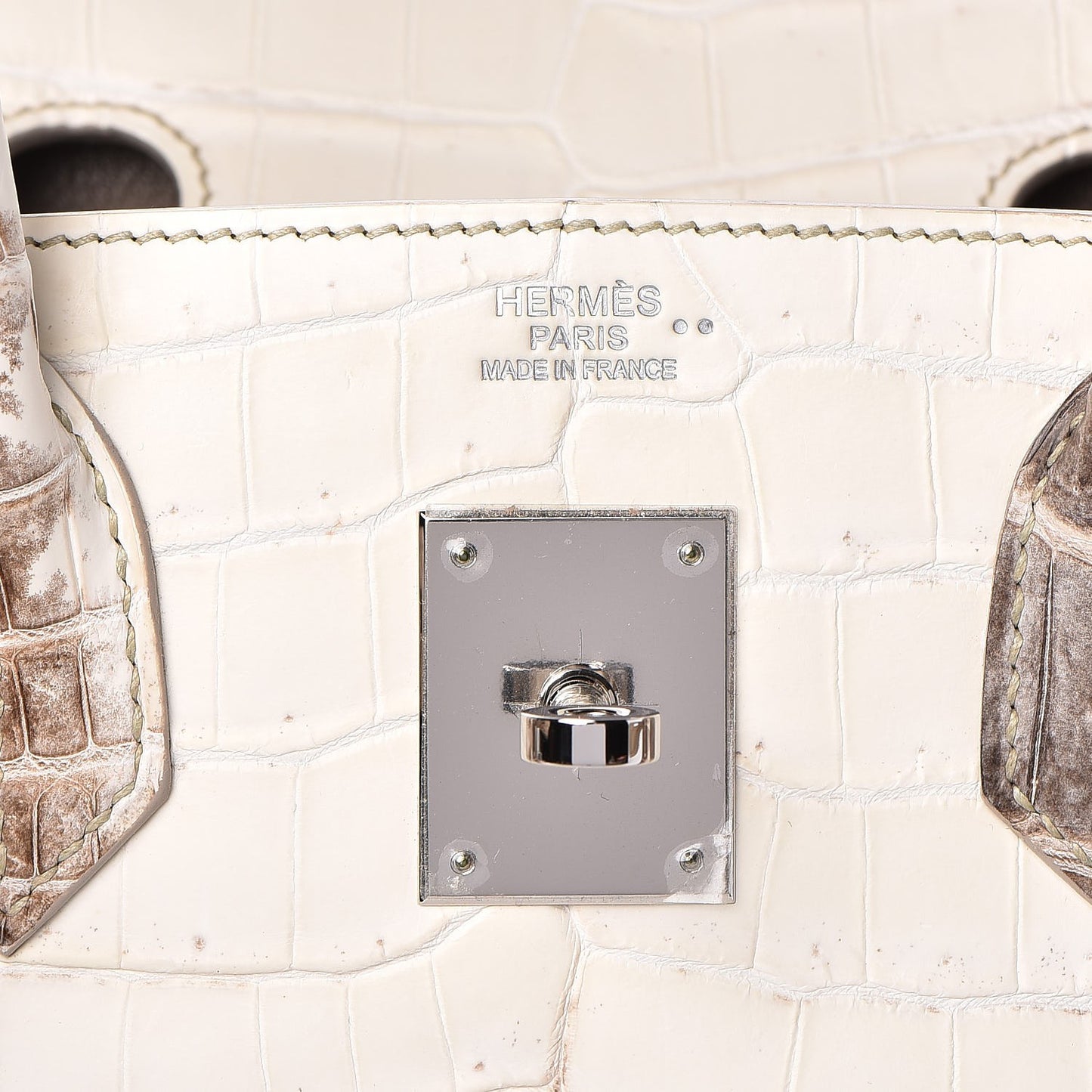 Matte Niloticus Crocodile Himalaya Birkin 30 Blanc