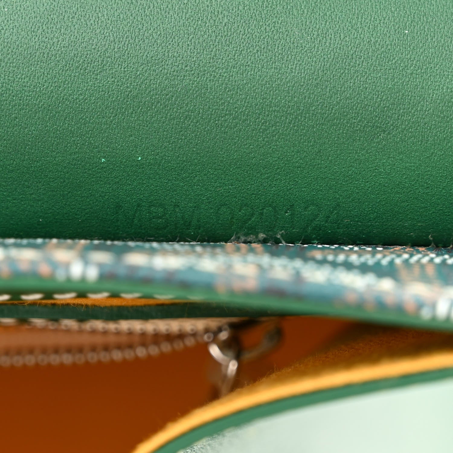 Goyard Goyardine Saigon PM Green 7 of 10