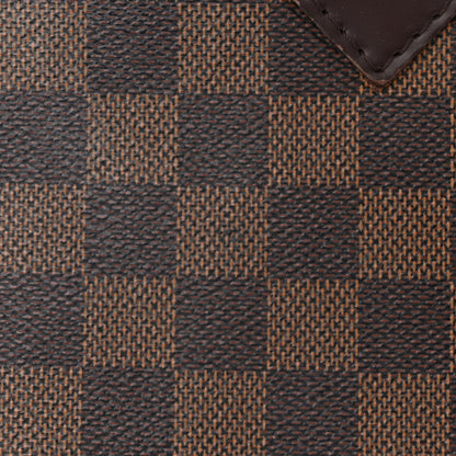 Louis Vuitton Damier Ebene Alma PM 14 of 15