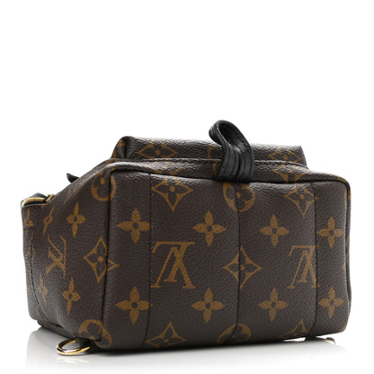 Louis Vuitton Monogram Palm Springs Backpack Mini 4 of 7