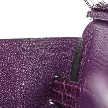 Hermes Ostrich Shiny Alligator Birkin Touch 30 Violine 26 of 34