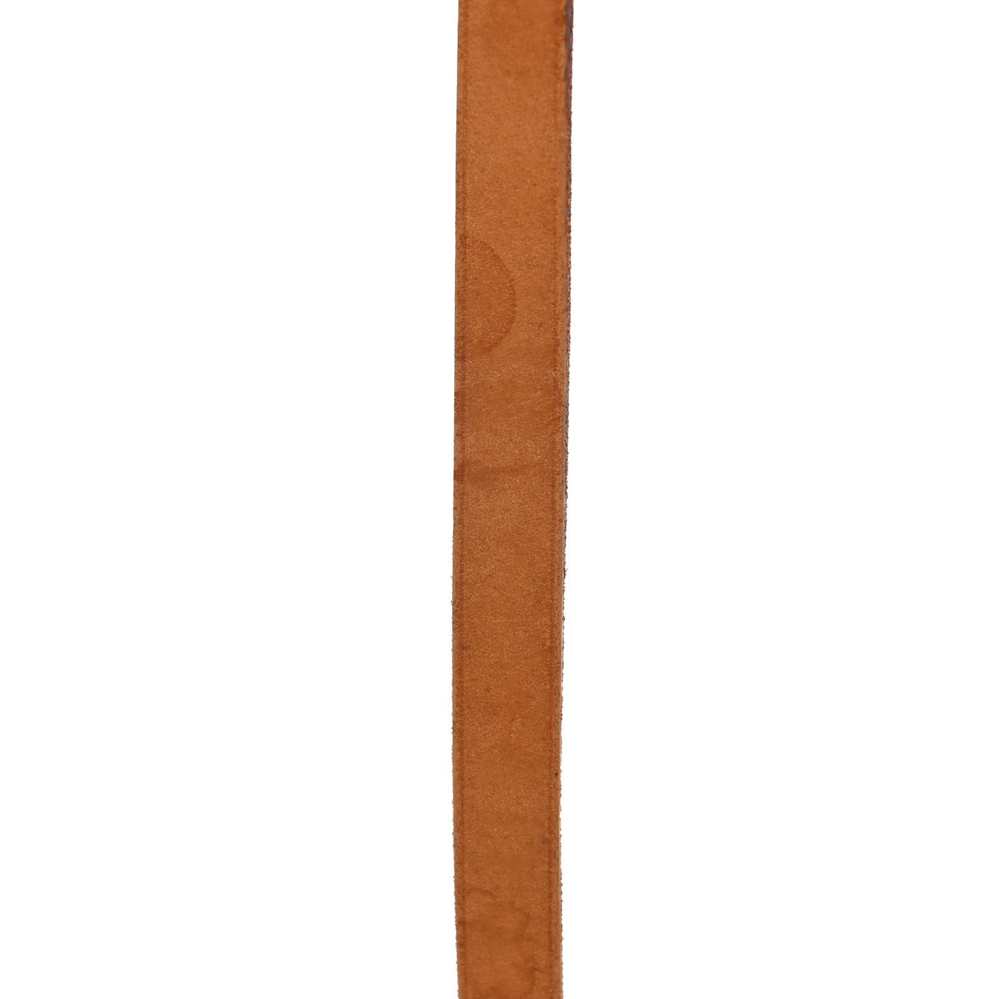 Monogram Cartouchiere 17