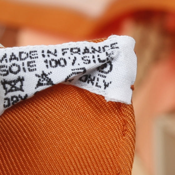 Silk Grand Apparat Scarf 90 Orange