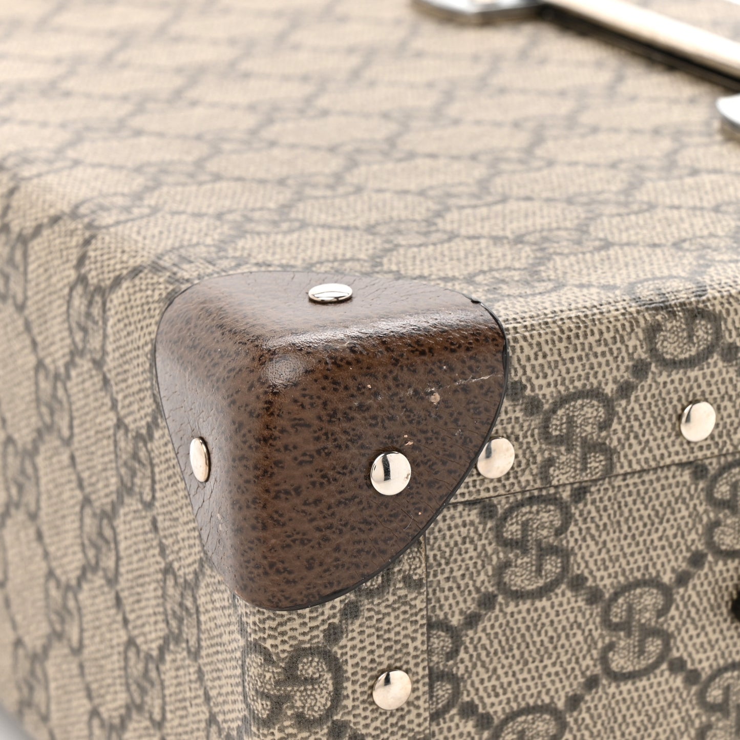 GG Supreme Monogram Globe-Trotter Beauty Case Brown