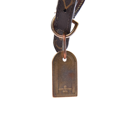 Louis Vuitton Monogram Baxter Dog Collar PM 6 of 13