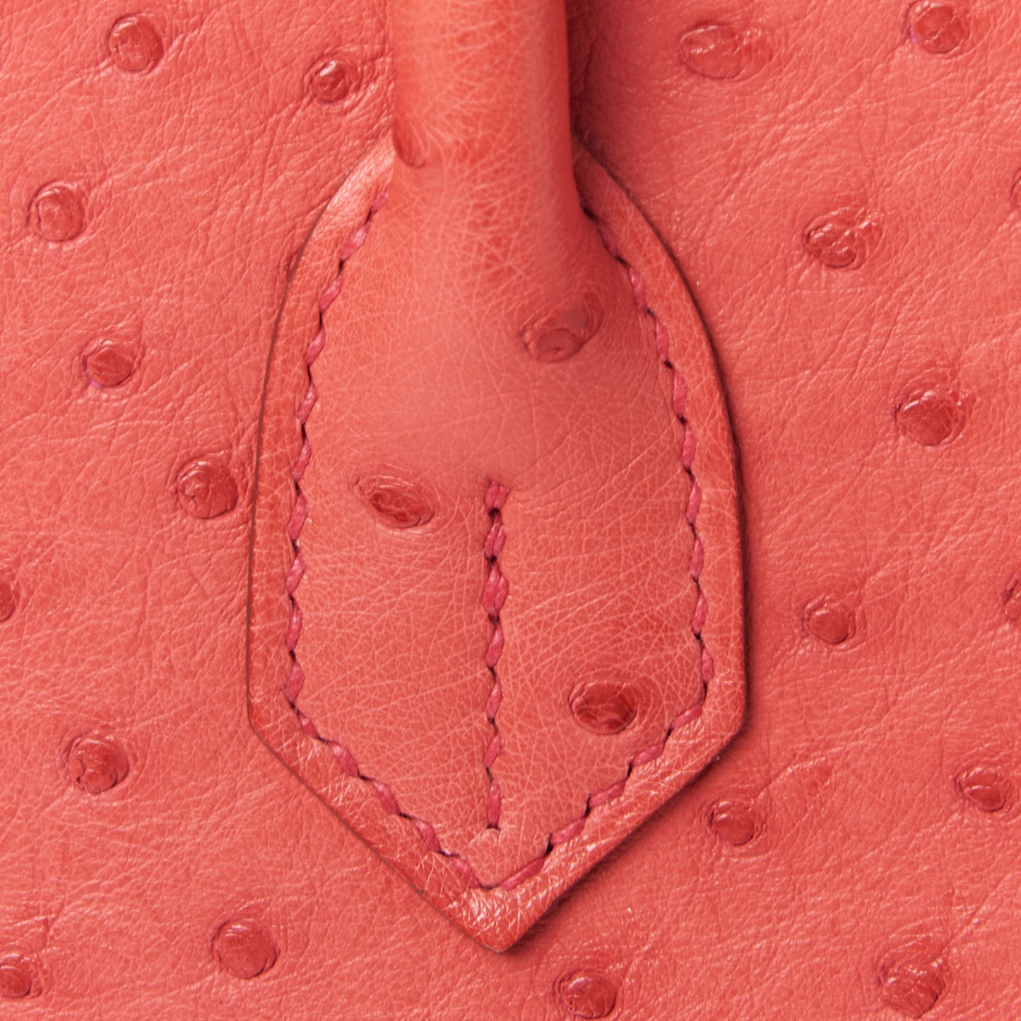 Ostrich Birkin 30 Bougainvillea