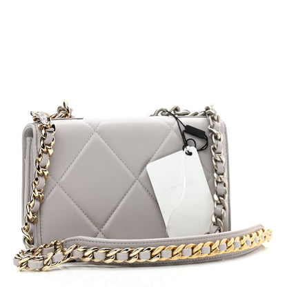 Chanel Lambskin Quilted Chanel 19 Wallet On Chain WOC Grey 3 of 13