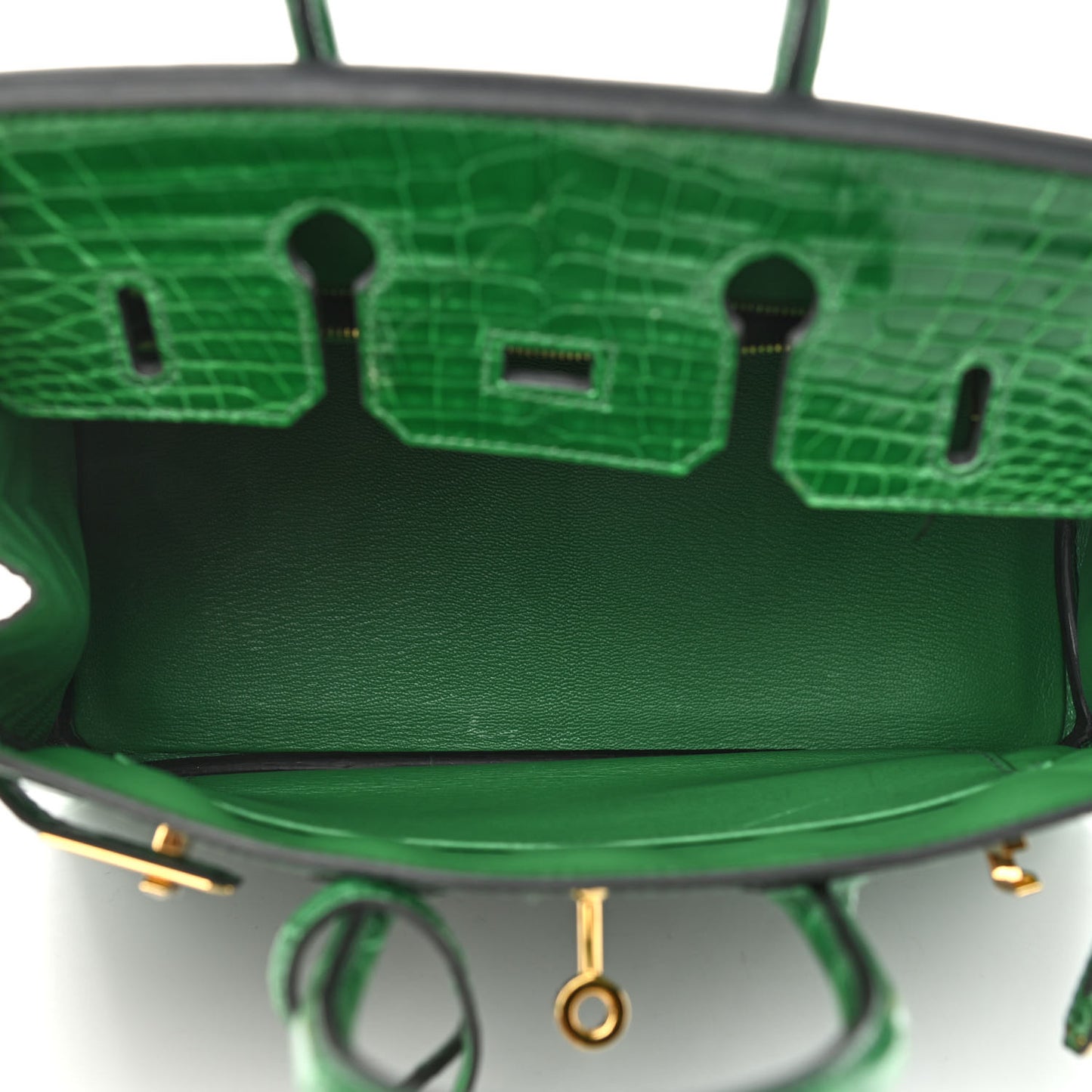 Shiny Niloticus Crocodile Birkin 25 Cactus