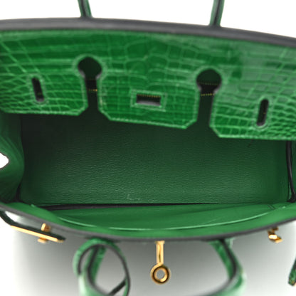Hermes Shiny Niloticus Crocodile Birkin 25 Cactus 5 of 14