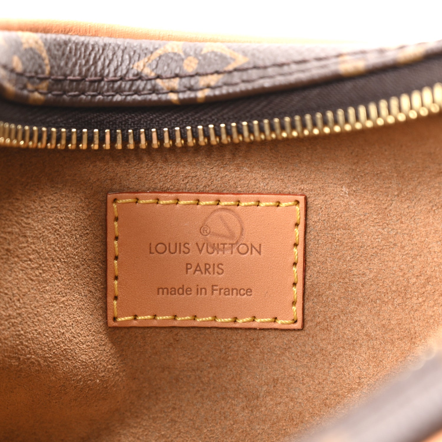 Louis Vuitton Monogram Loop 5 of 8