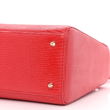 Christian Dior Lizard Medium Lady Dior Red 10 of 10