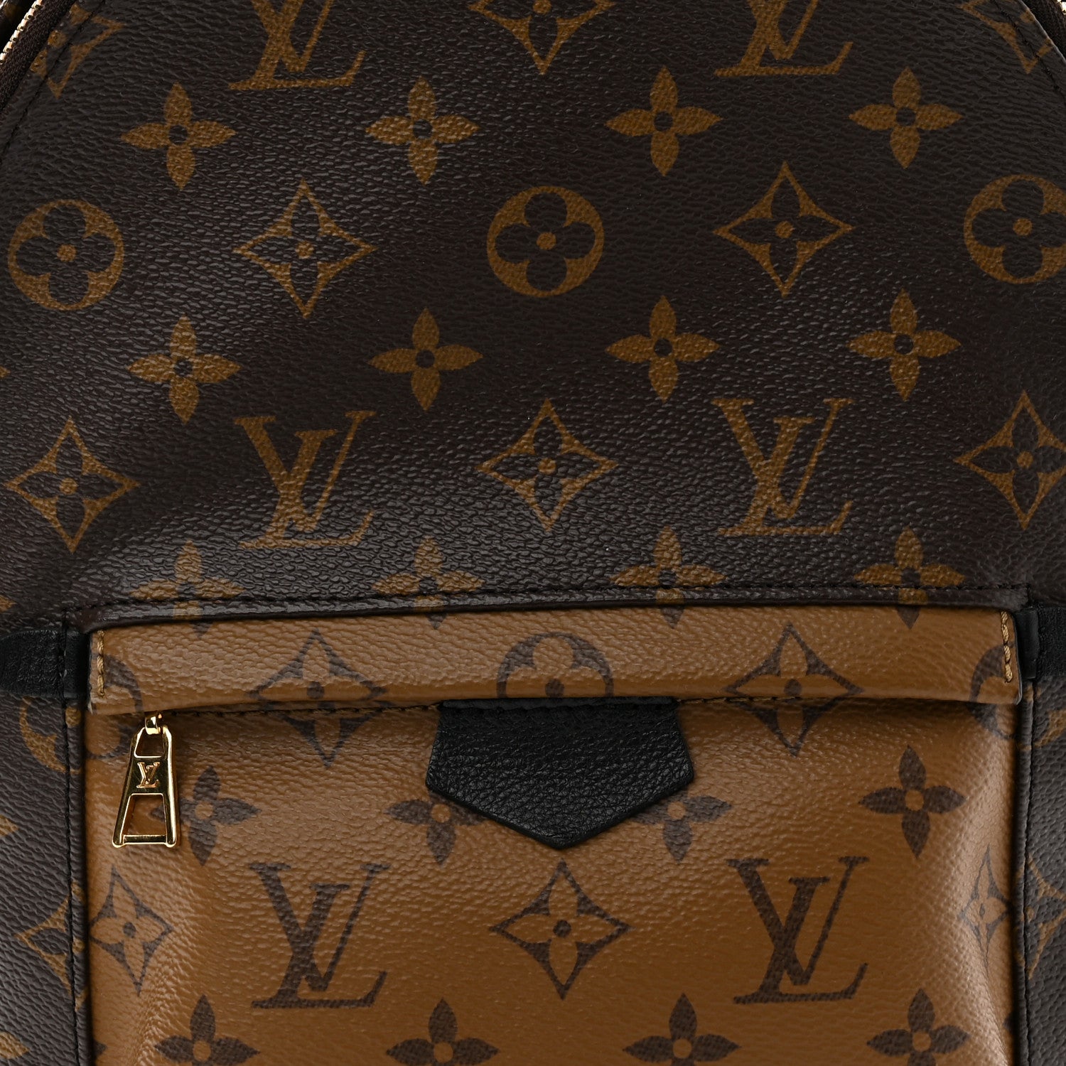 Louis Vuitton Reverse Monogram Palm Springs Backpack PM 8 of 10