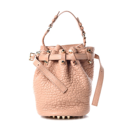 Alexander Wang Pebbled Lambskin Diego Bucket Bag Blush Pale Gold Hardware 1 of 8