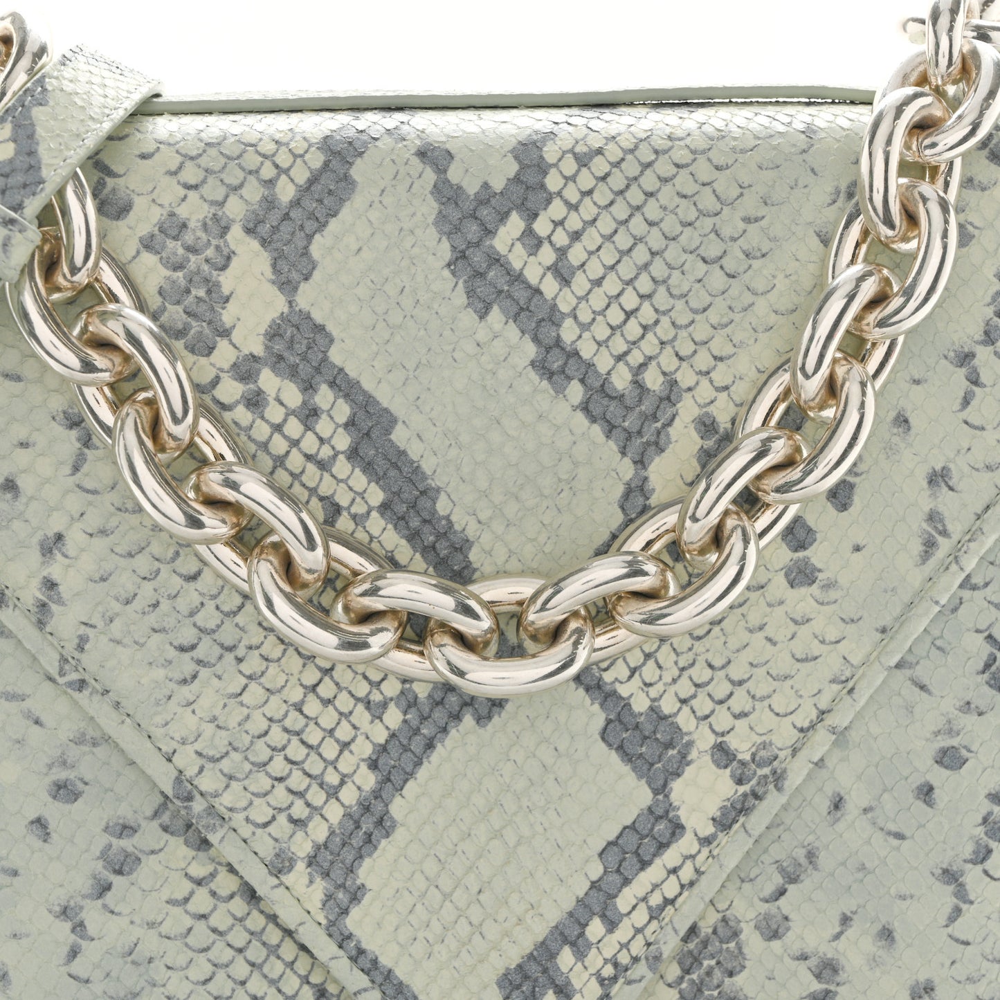 Snakeskin Mount Envelope Bag Green