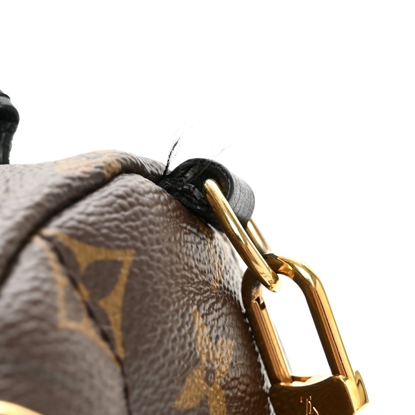 Monogram Palm Springs Backpack Mini