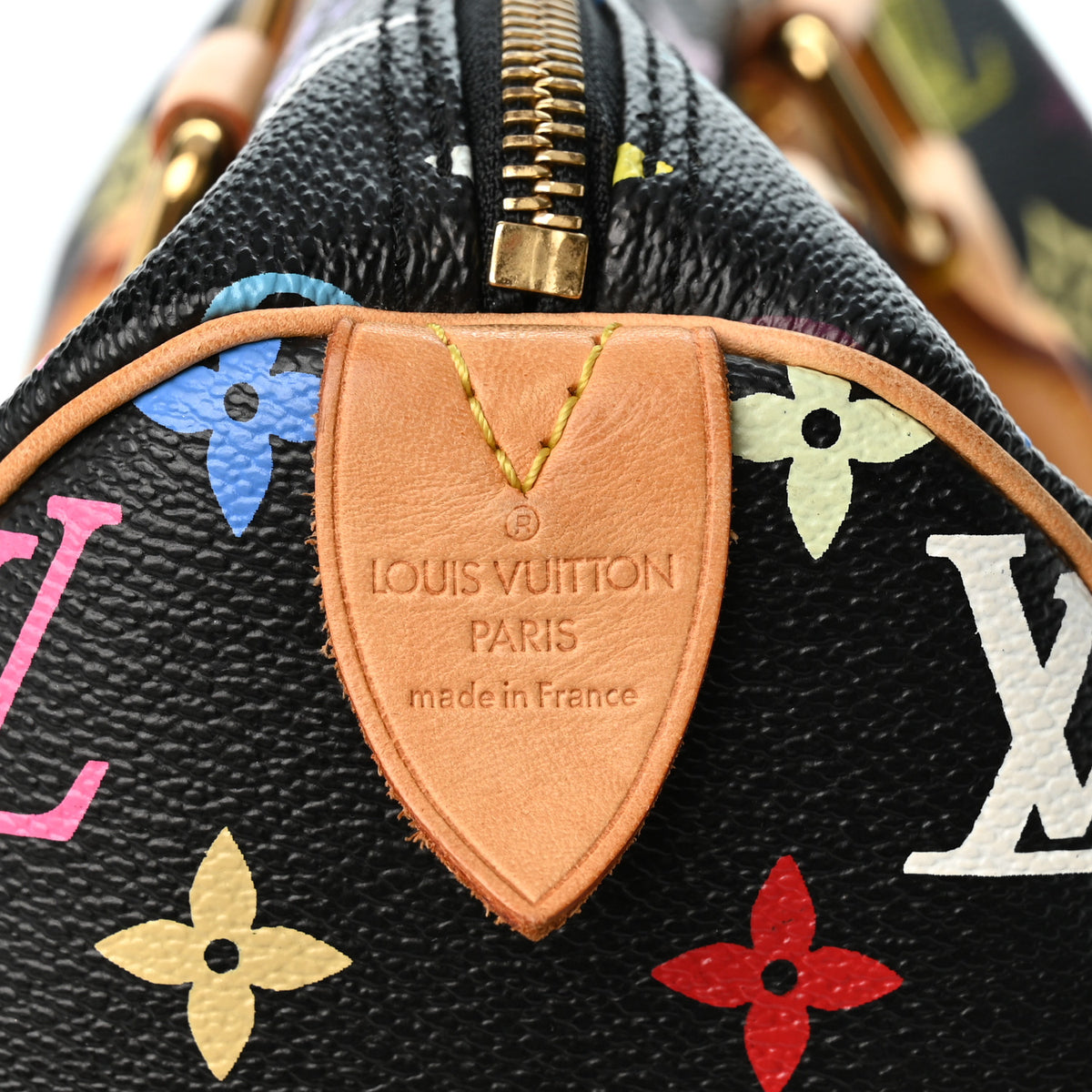 Monogram Multicolor Speedy 30 Black