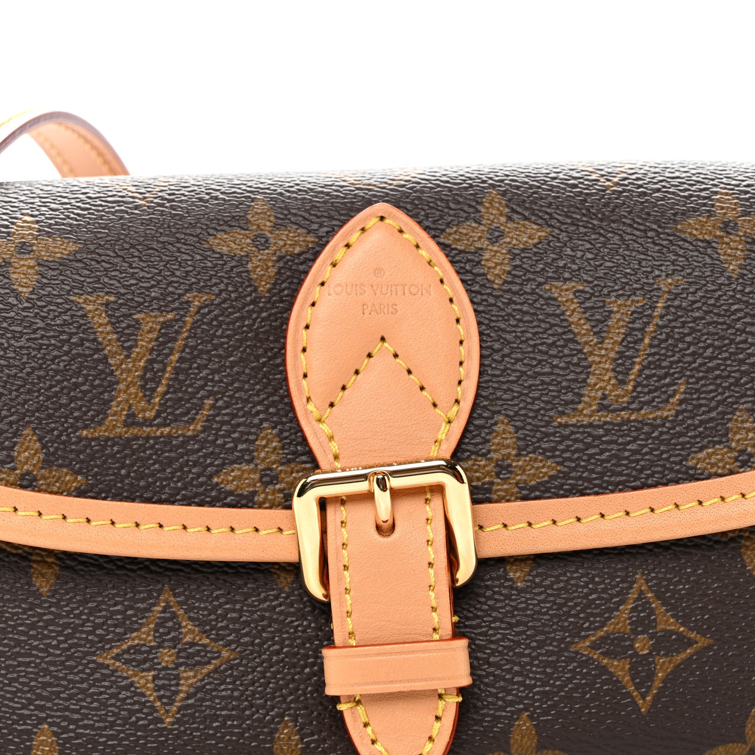 Louis Vuitton Monogram Nano Diane 7 of 9