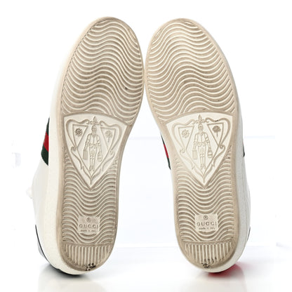 Gucci Calfskin Ayers Web Bee Embroidered Womens Ace Sneakers 38.5 White Green 4 of 4