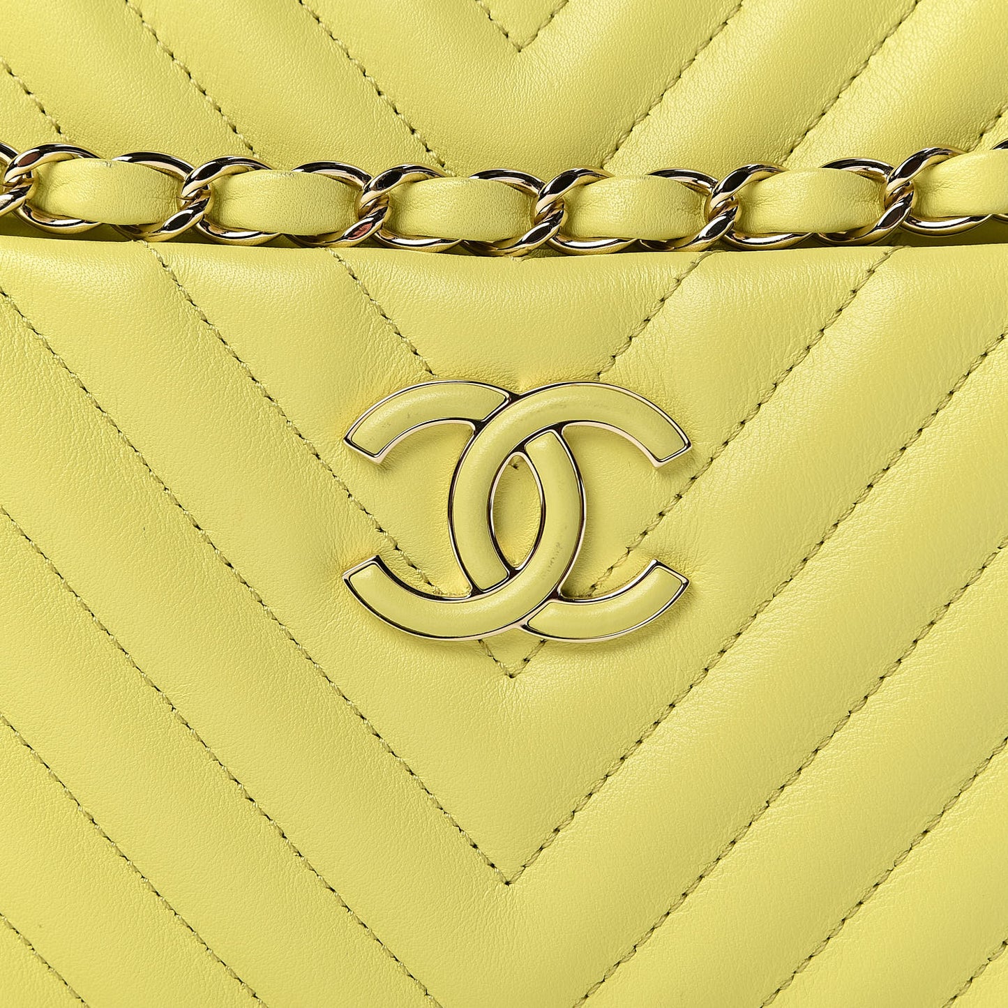 Calfskin Quilted Daily Chevron Camera Case Light Green