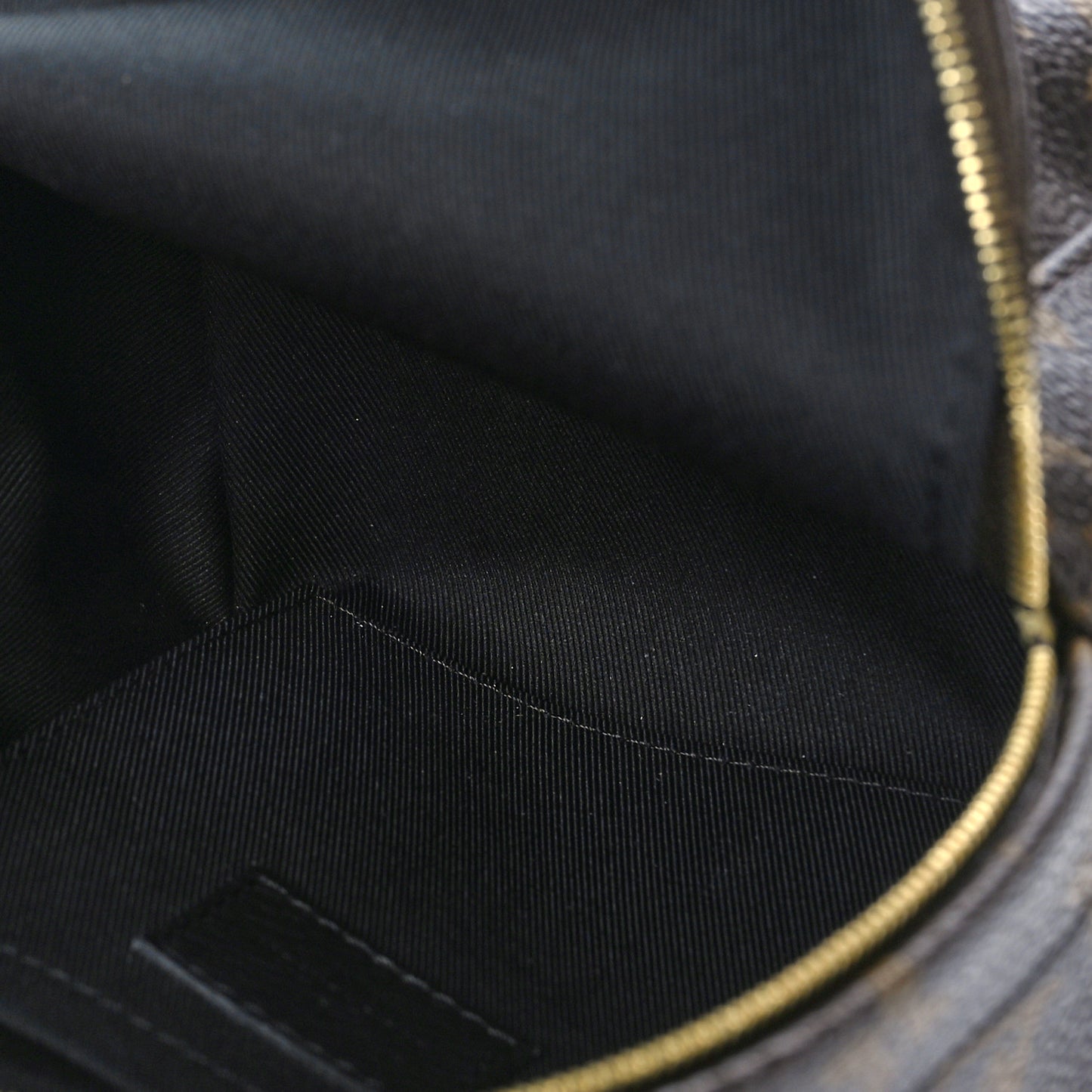 Monogram Palm Springs Backpack Mini