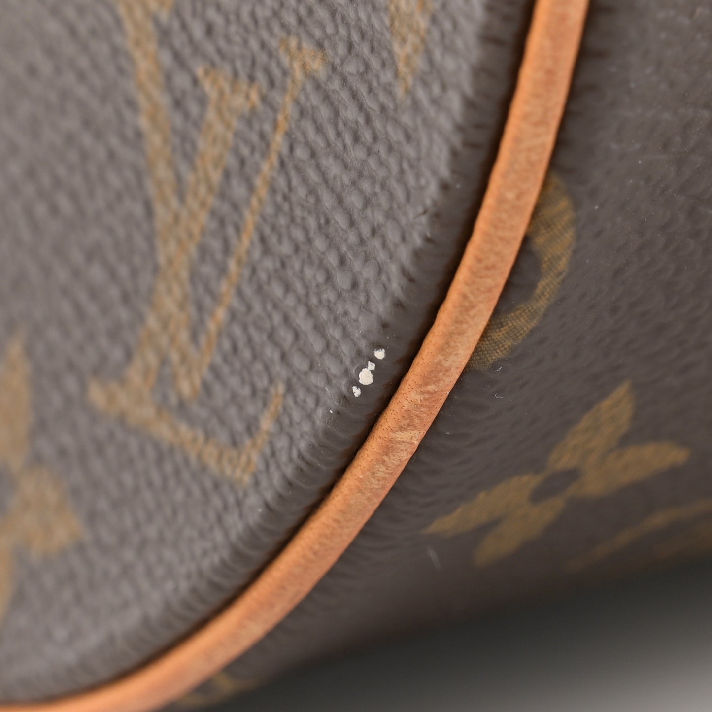 Monogram Papillon 30 with Companion